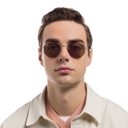 Ray-Ban Hexagonal Unisex Sunglasses in Gold – Model Photo 6