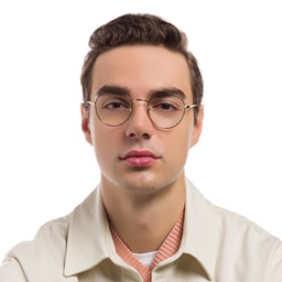 Ray-Ban David Unisex Panthos Eyeglasses in Havana On Gold – Model Photo 6