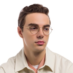 Ray-Ban David Unisex Panthos Eyeglasses in Havana On Gold – Model Photo 7