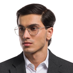 Ray-Ban Unisex Hexagonal Irregular Eyeglasses in Silver – Model Photo 6