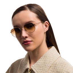 Ray-Ban Hexagonal Unisex Sunglasses in Brown – Model Photo 6