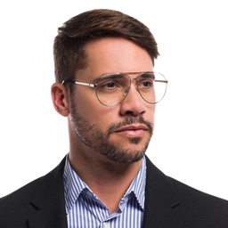 EYE'M Wide Aviator Eyeglasses in Silver – Model Photo 2