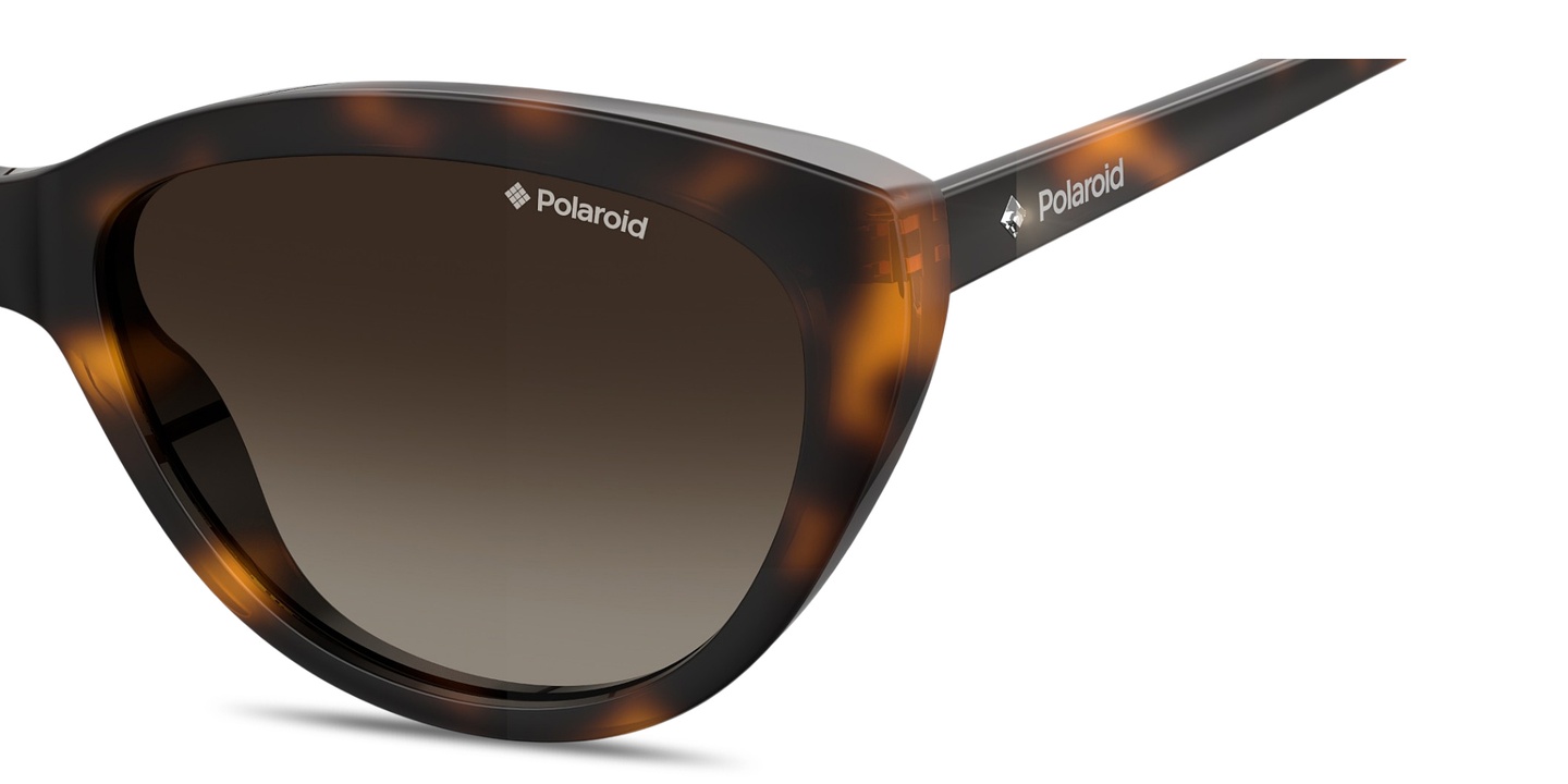 Shop Polaroid Logo Lettering Cat-Eye Sunglasses in Havana online.