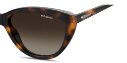 Shop Polaroid Logo Lettering Cat-Eye Sunglasses in Havana online.