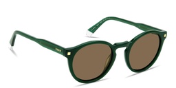 Shop Polaroid Logo Lettering Panthos Sunglasses in Green online.