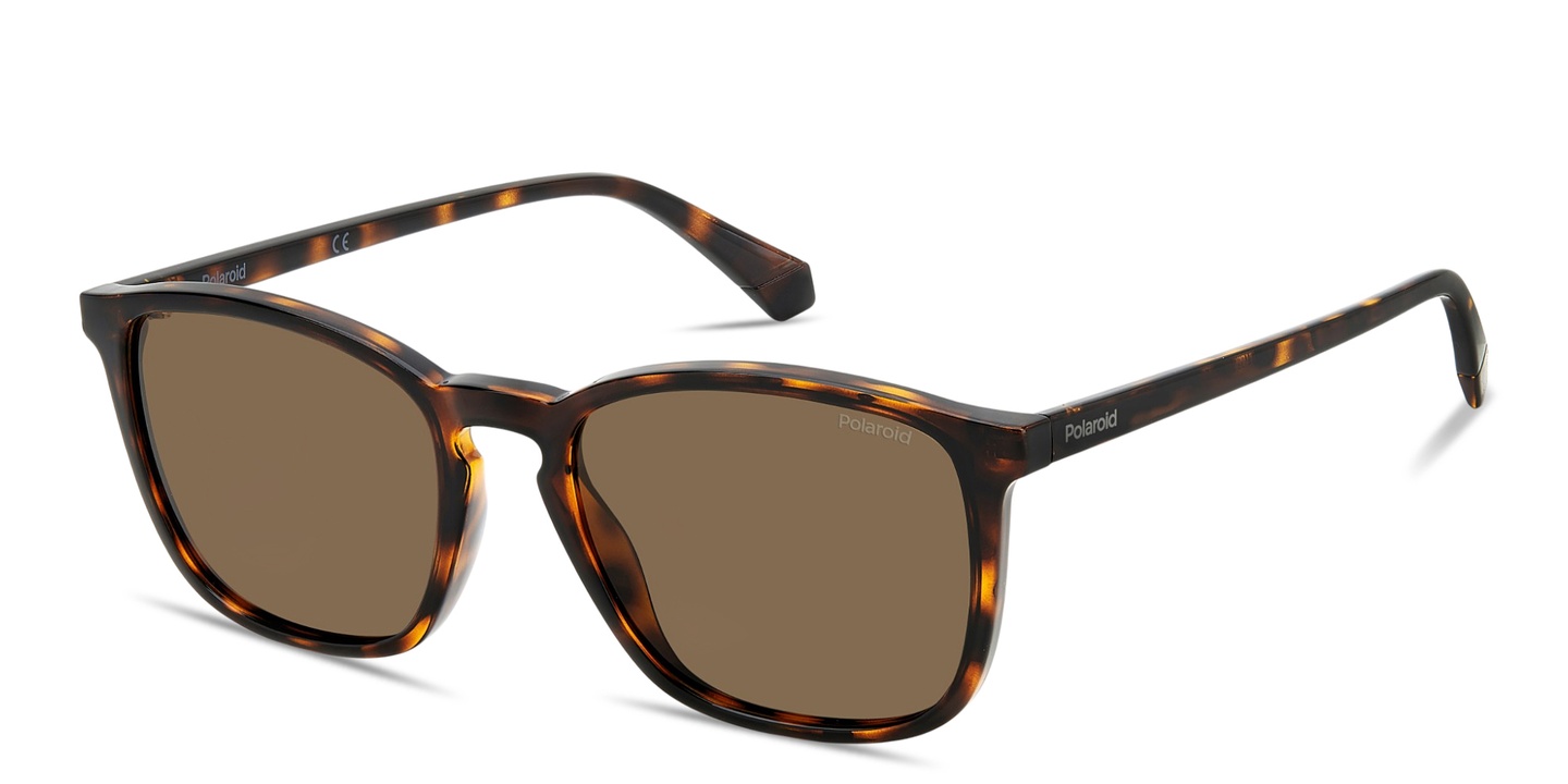 Shop Polaroid Logo Lettering Square Sunglasses in Havana online.